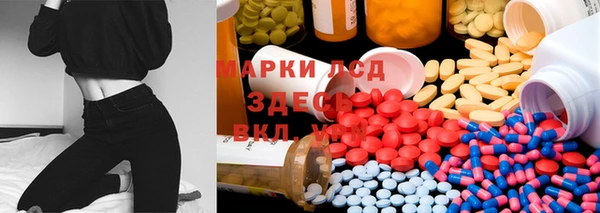 тгк Абаза