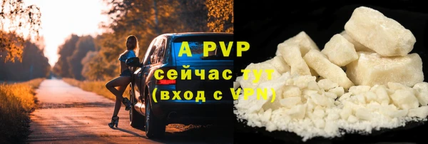тгк Абаза
