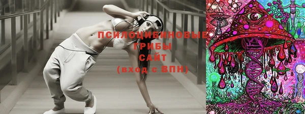МДПВ Абдулино
