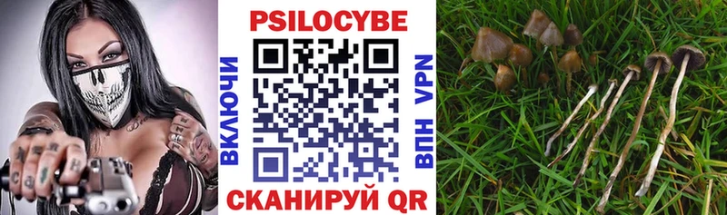 Псилоцибиновые грибы мицелий  Лабытнанги 